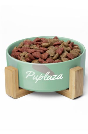 New Elevated Food Bowl